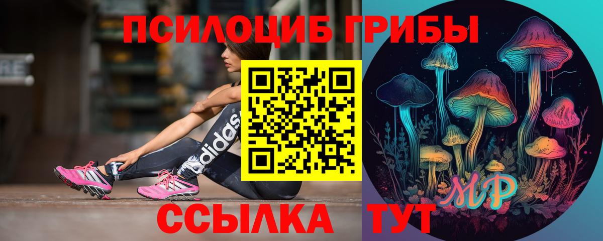 Клинцы  Галлюциногенные грибы Psilocybe  Галлюциногенные грибы Cubensis  Вход с VPN 